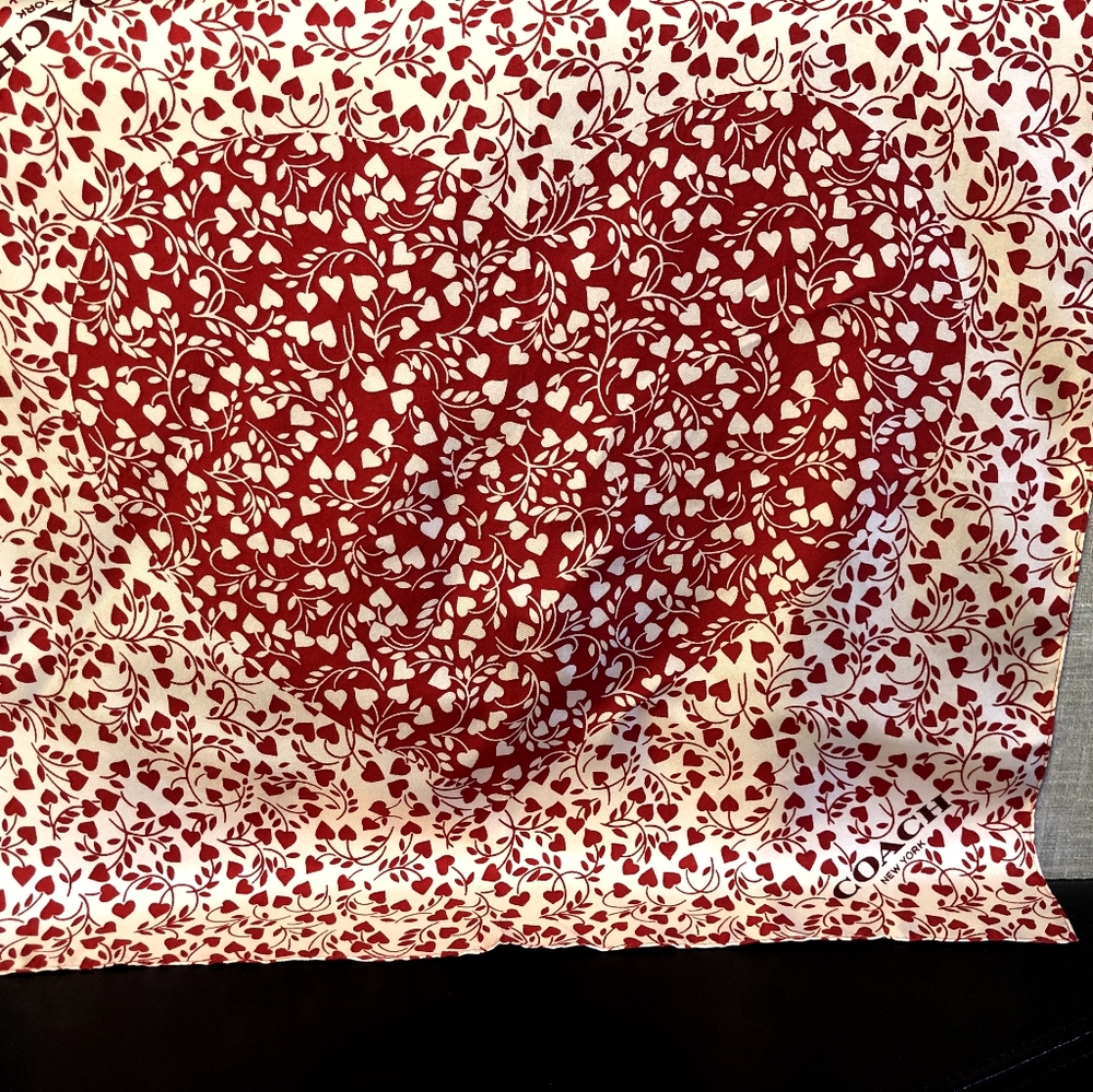 NWT COACH SCARF